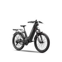 XAFARI eBike - Silver